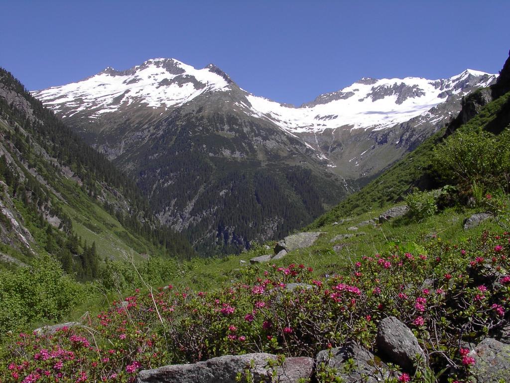Hotel Maximilian Mayrhofen Eksteriør bilde